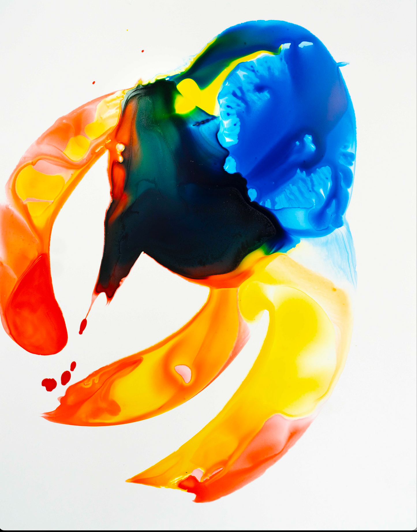 Flying Octopus, 2025