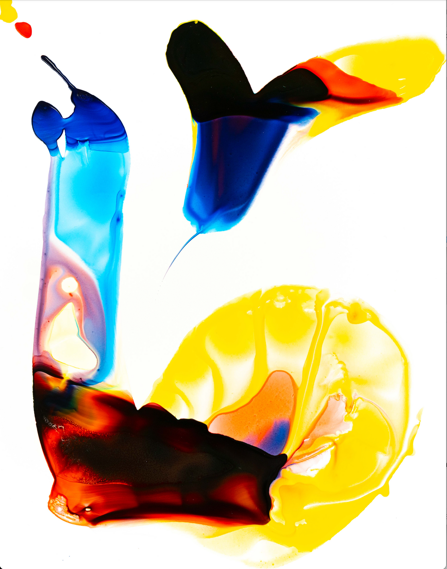 Snail With Bird, 2025